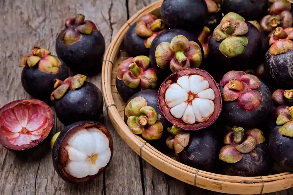 Mangosteen Know About The Queen Of Fruits