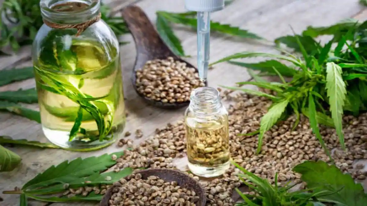 Digestion To Weight Loss 5 LesserKnown Benefits Of Hemp Seeds