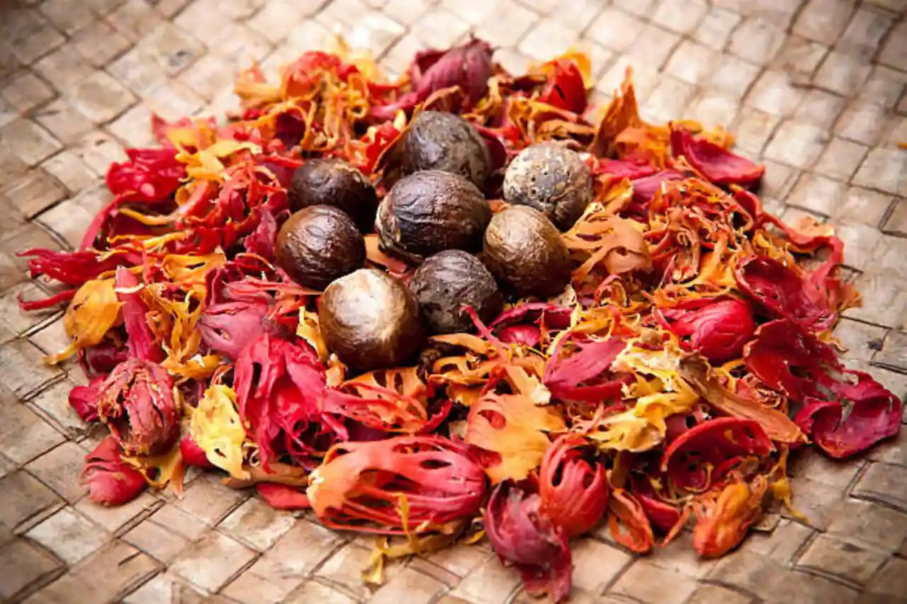 Mace 5 Health Benefits Of This Hidden Gem In Your Spice Rack