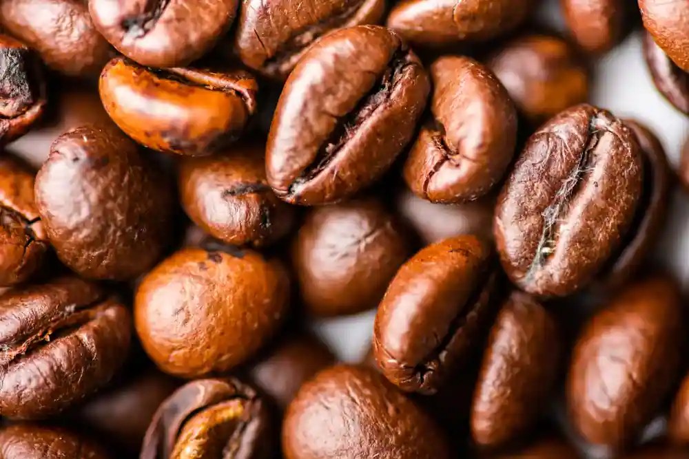 Check Your Coffee Beans These Signs Predict Their Shelf Life