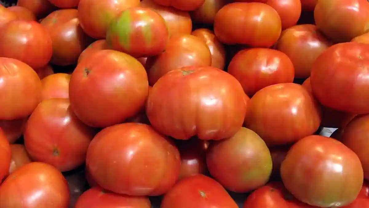 Tomatoes The Savoury Umami Powerhouse Fruit