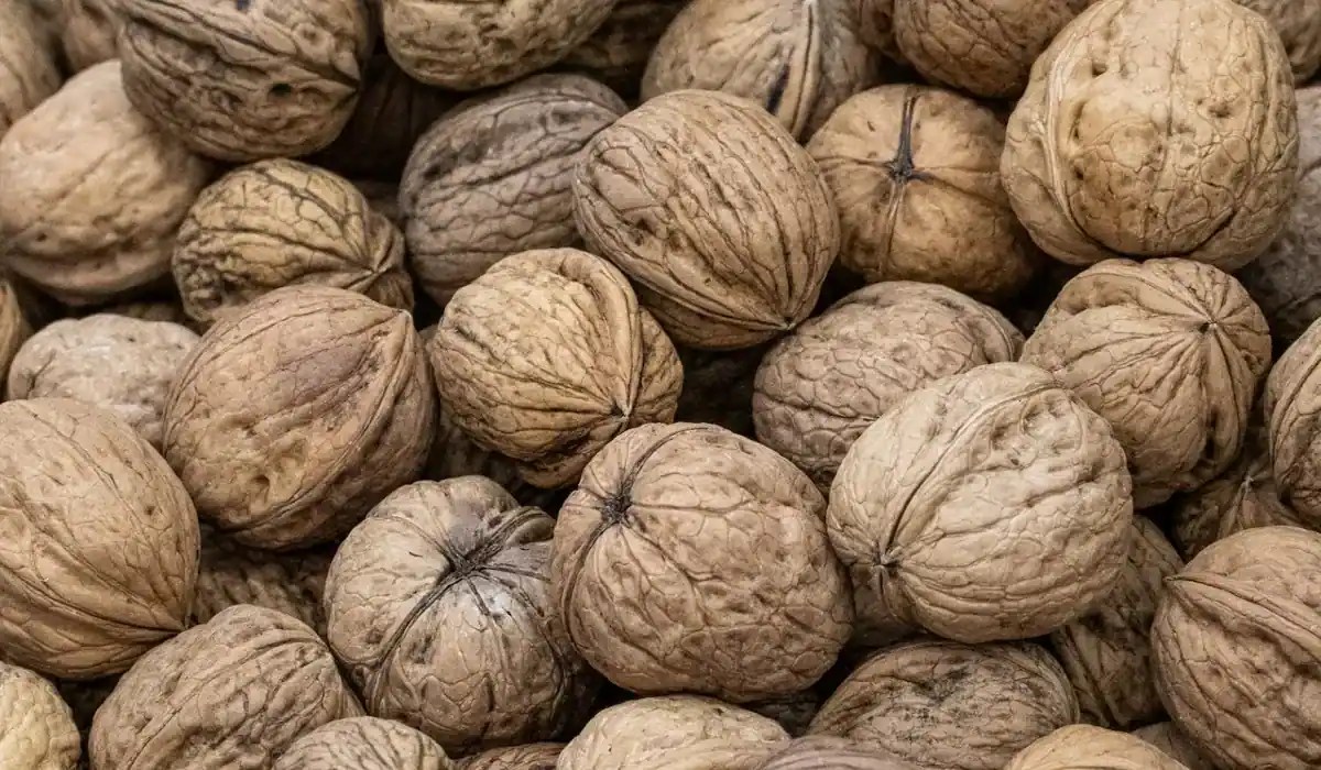 Nutmeg The Spice Rich In History And Potential Health Benefits
