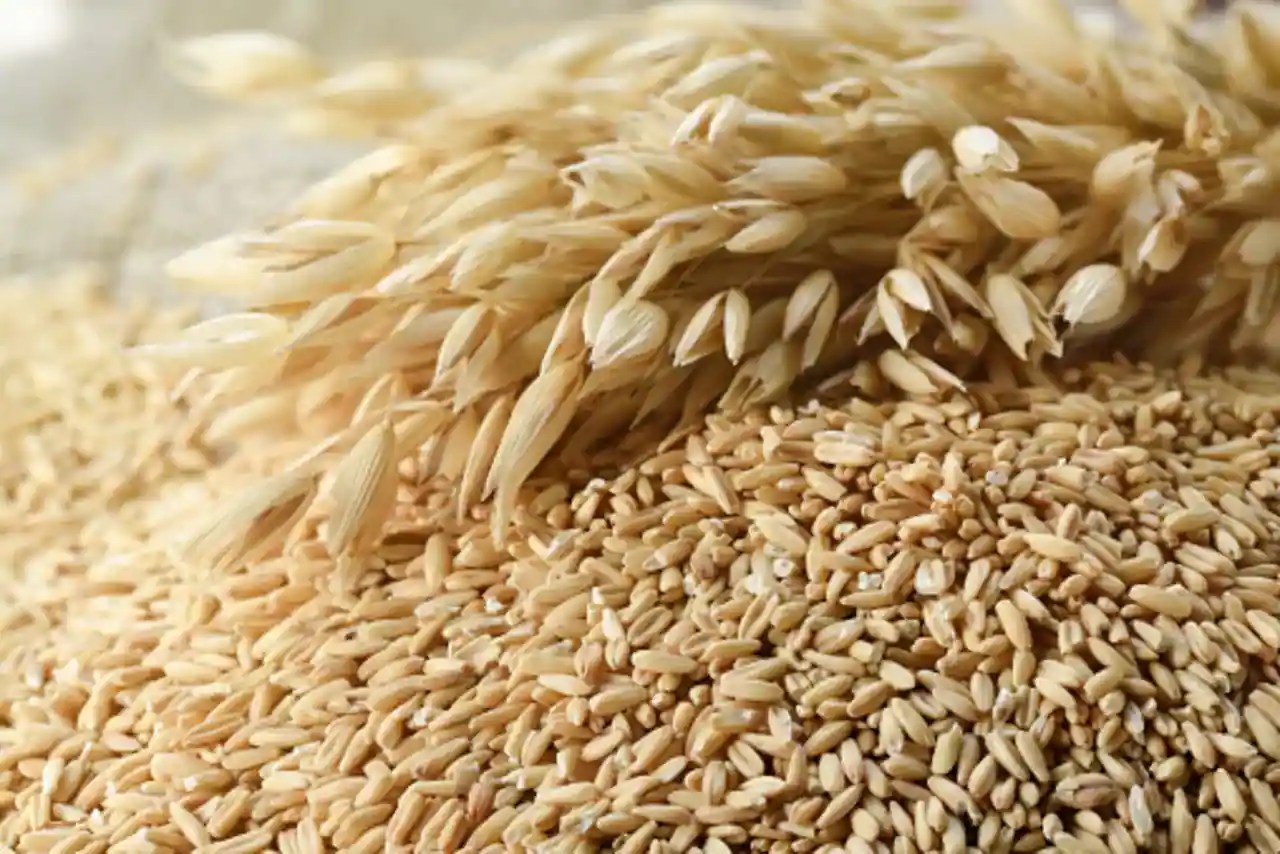 SteelCut vs Instant vs Rolled Oats Key Differences To Know