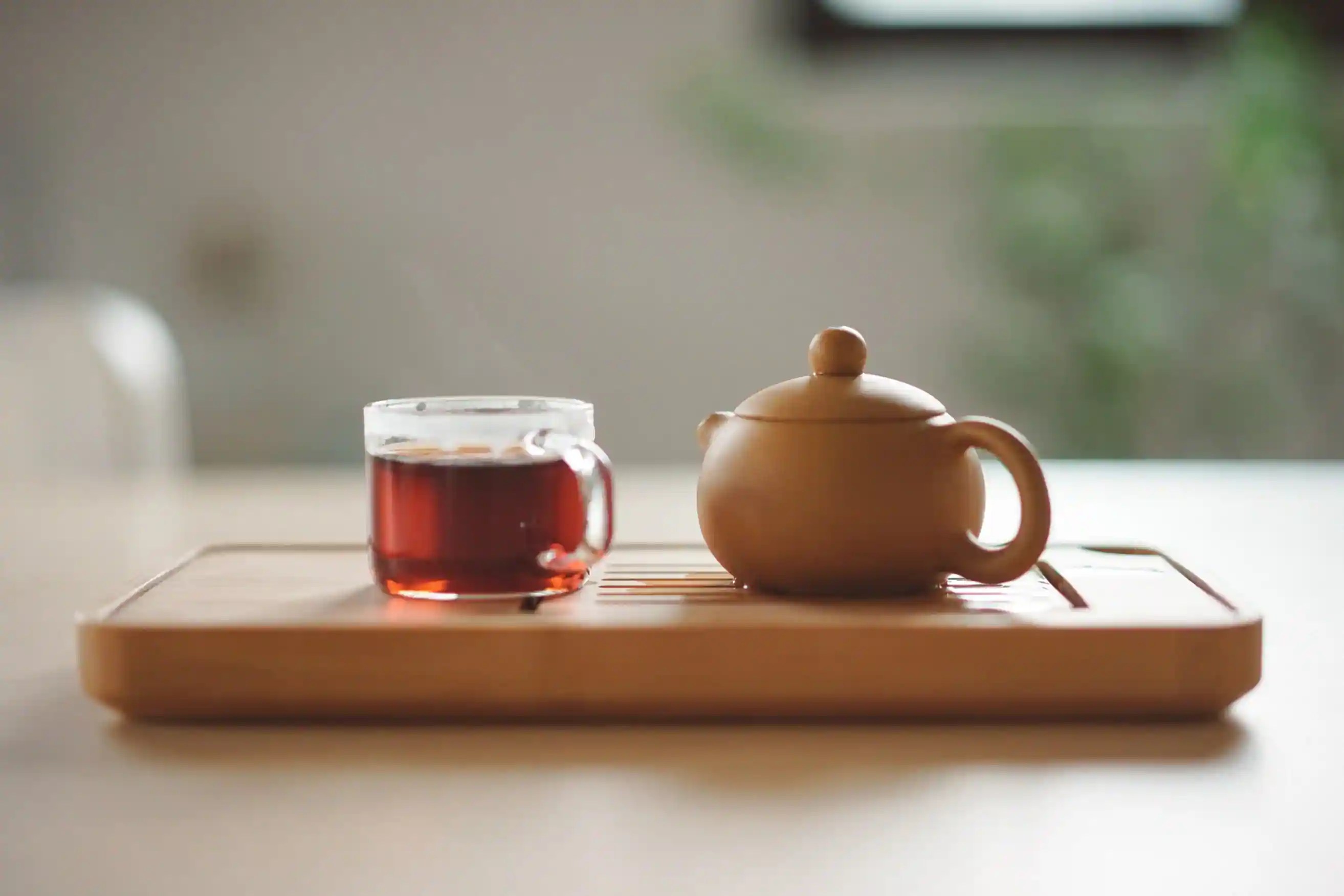 Confused Between First Flush And Second Flush Teas? Know The Difference