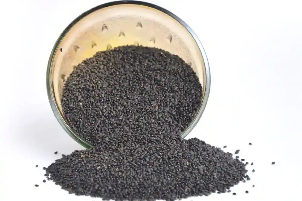 5 Benefits Of Sabja Seeds To Include In Your Diet