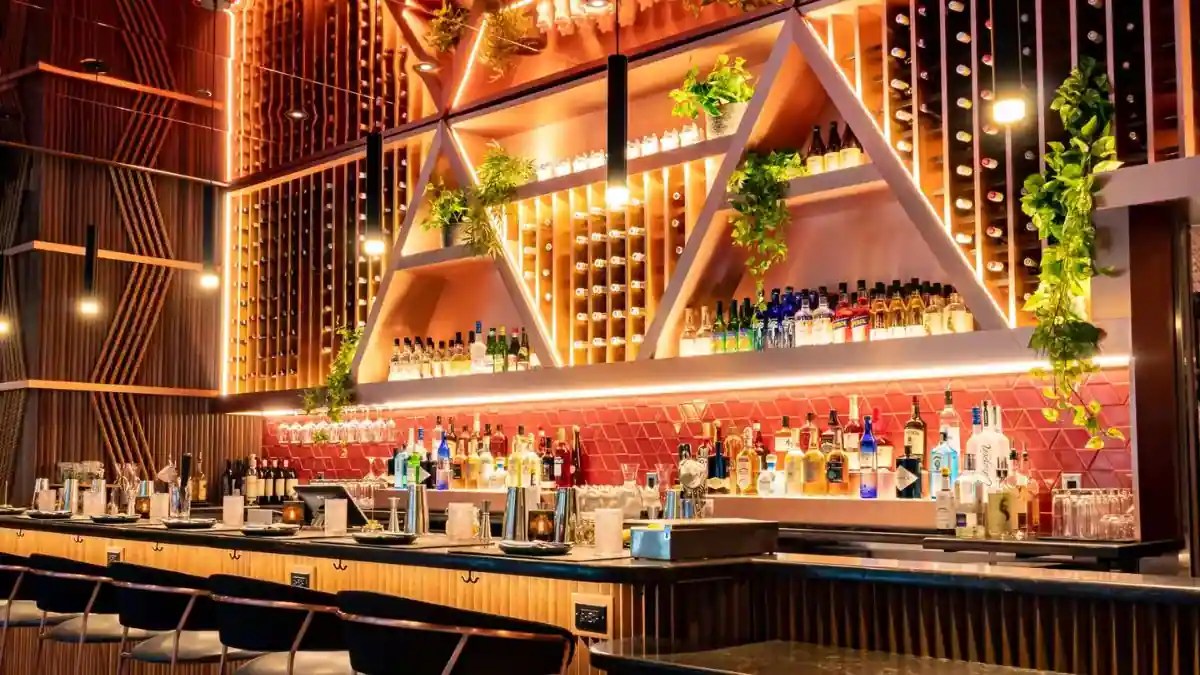 Cumin to Planta Queen Top 9 Indian Vegetarian Restaurants in Chicago You Must Try