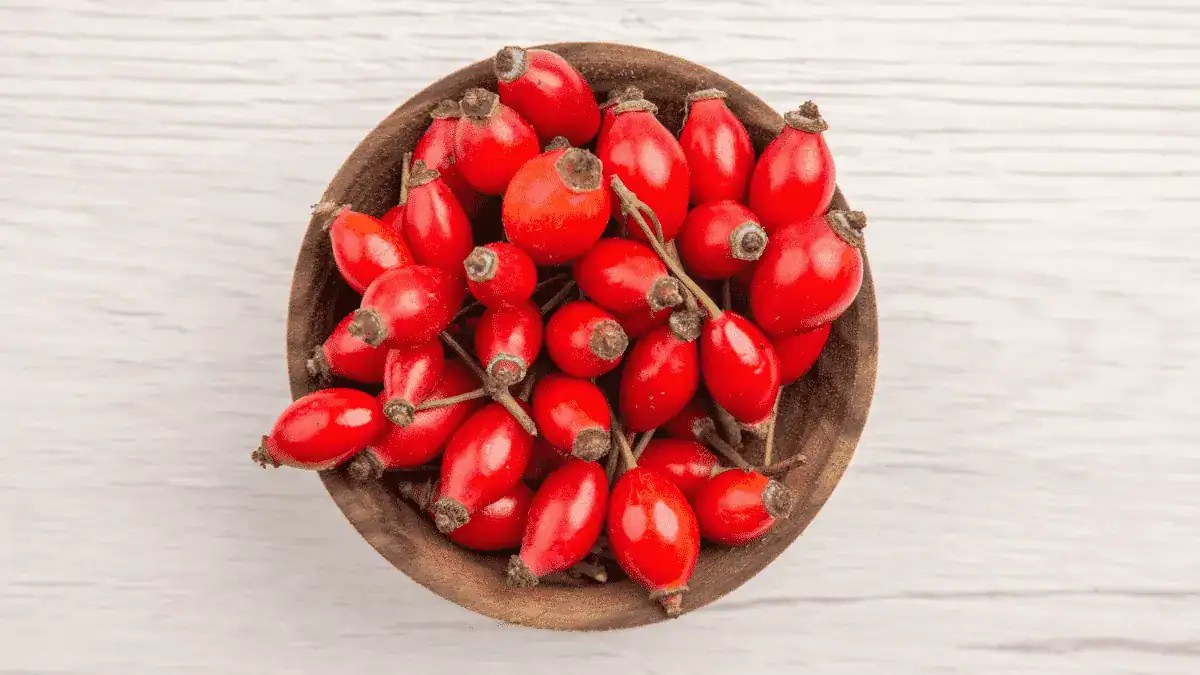 What Are Rose Hips? Exploring Their Uses and Culinary Potential