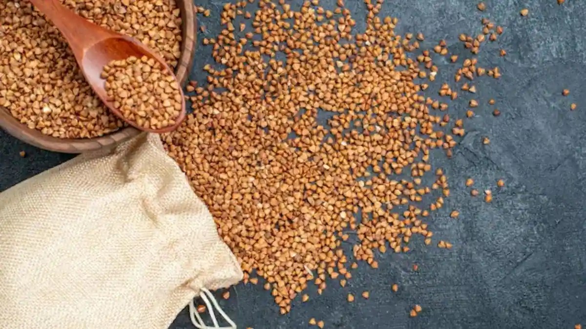 Little Millet Discover The Health Benefits Of Kutki And Its Various Uses