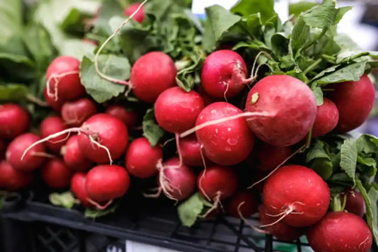 Kitchen Tips 5 Simple Ways To Store Radishes