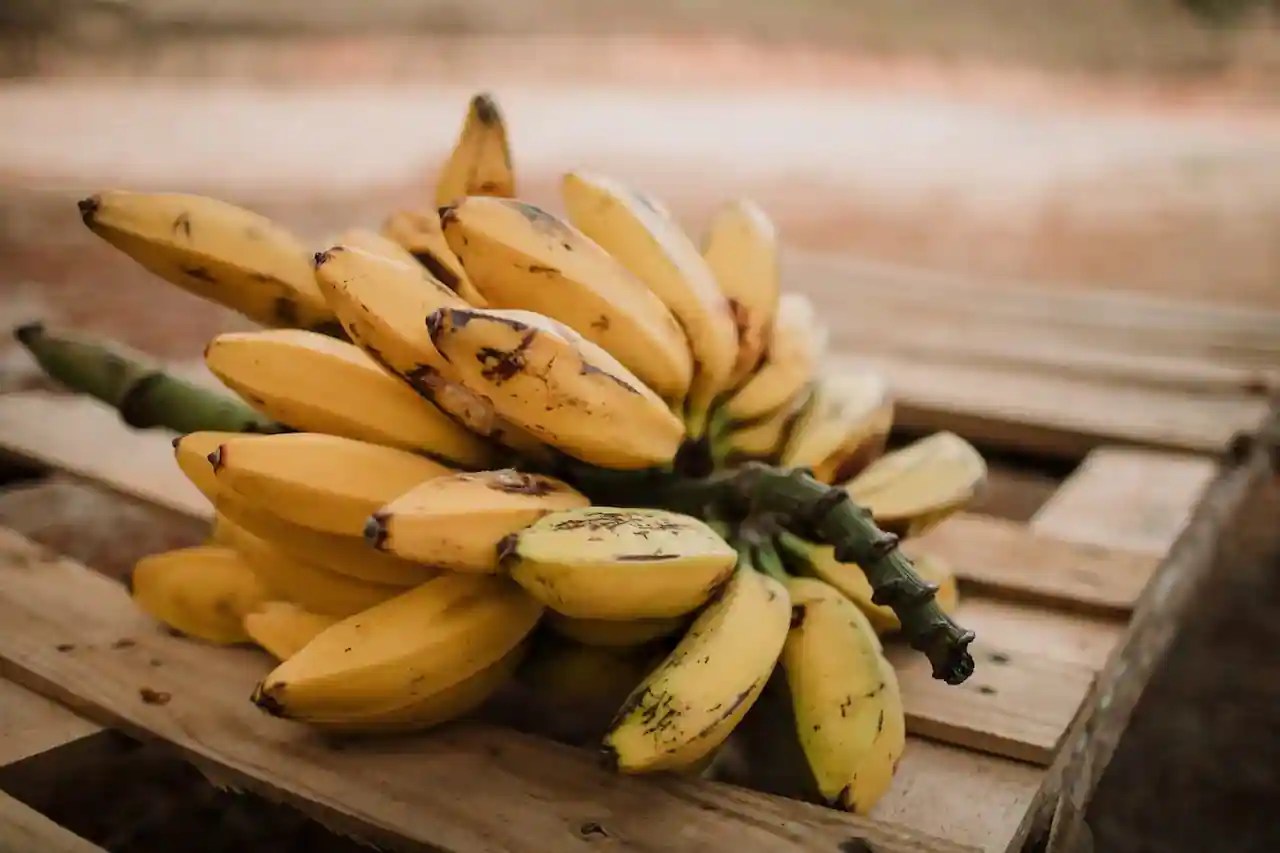 Banana Republic How Guatemala's Govt Was Overthrown For Bananas