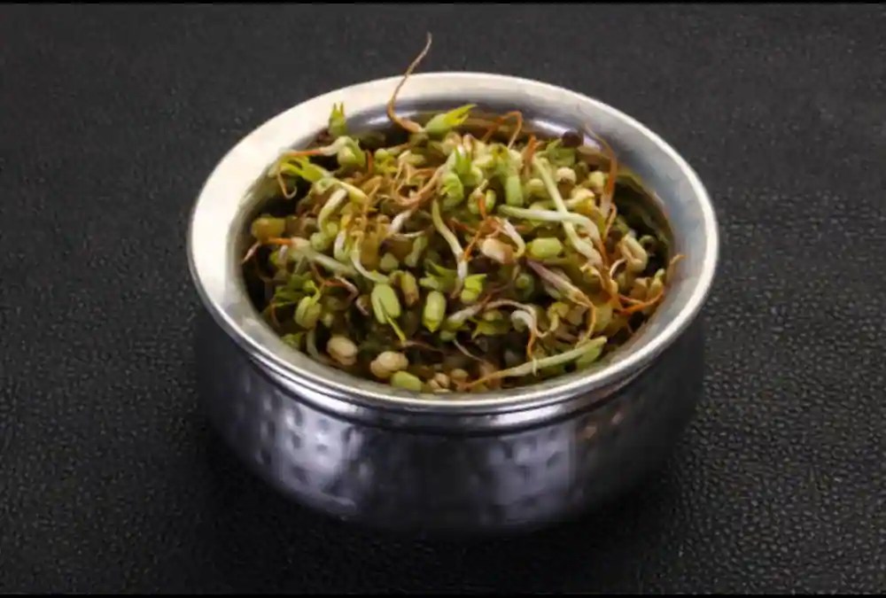Matki Sprouts 7 Health Benefits Of The Nutritious Bean Sprouts