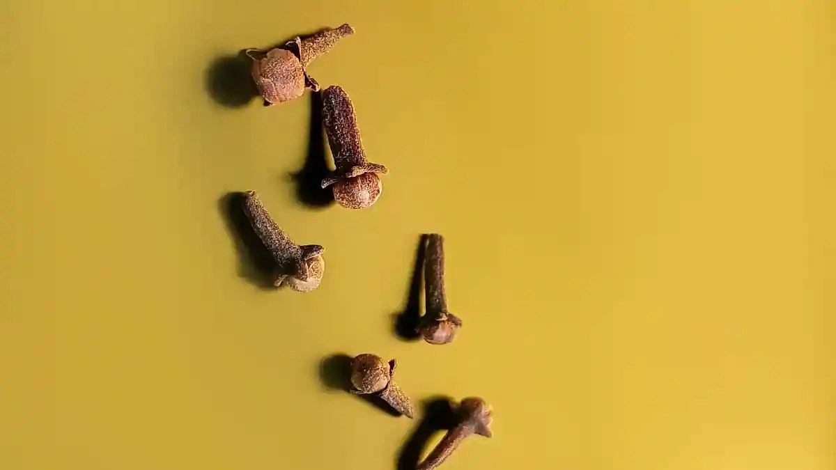 Lavangam 7 Key Health Benefits Of Cloves