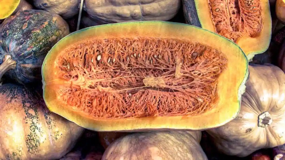Rutabaga, Jicama 12 Exotic Vegetables From Around The World