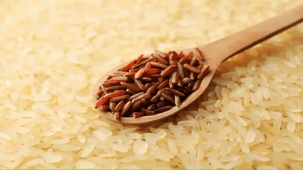 Parboiled Or Brown Rice; Which Variant Wins The Battle?
