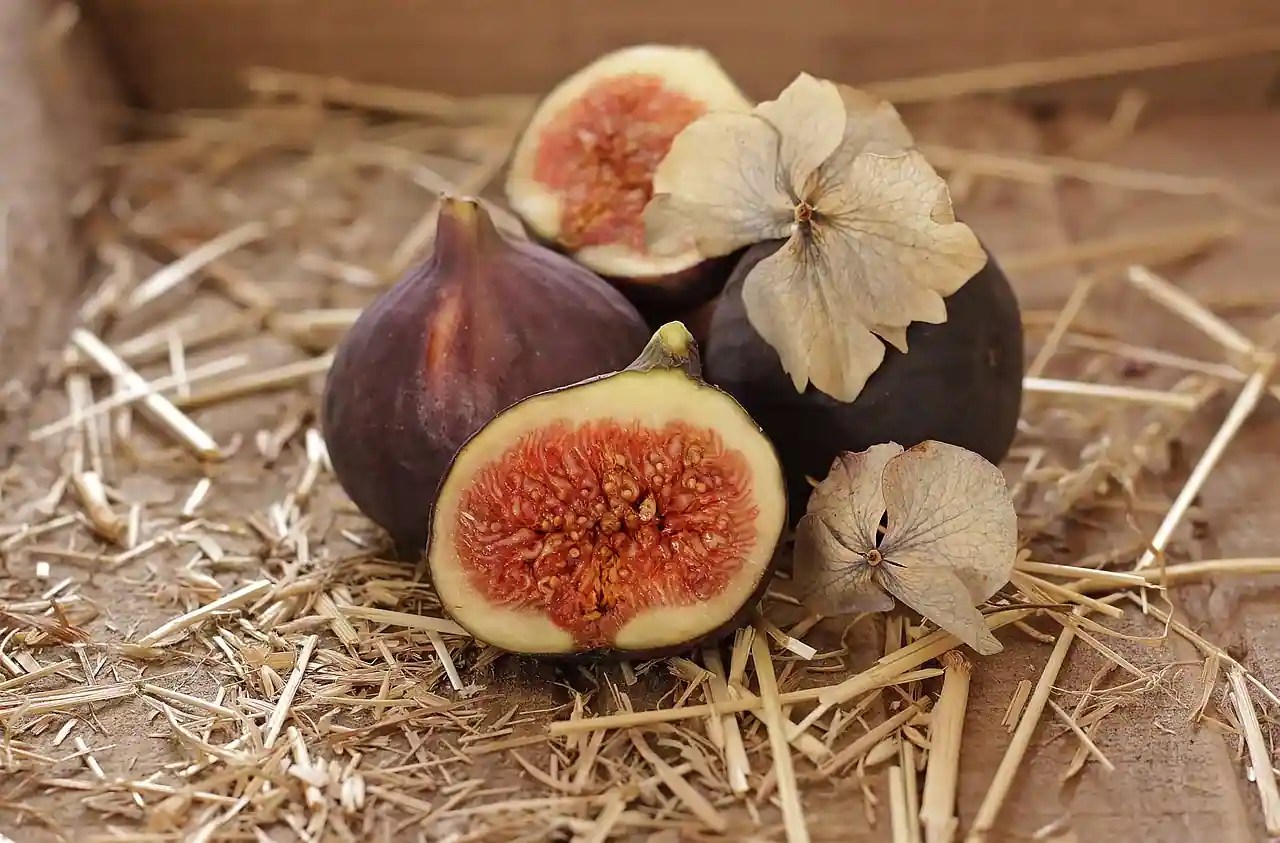 Anjeer For Weight Loss 10 Benefits Of Adding Figs To Your Diet