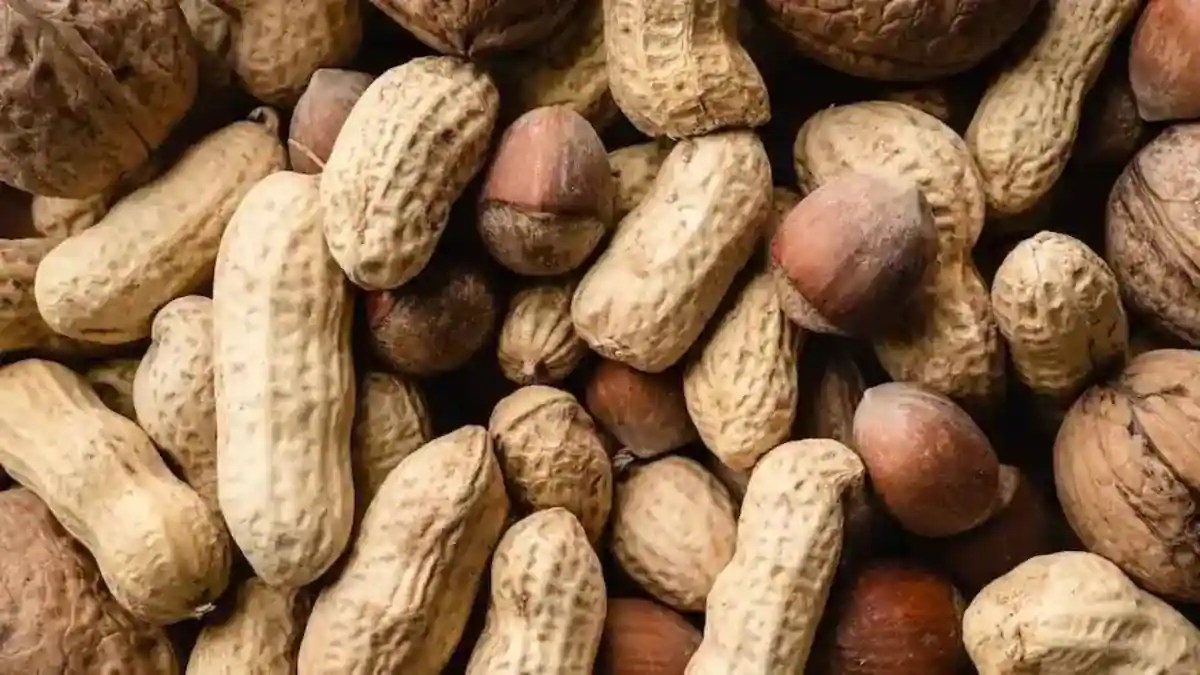 Peanut Health Benefits WeightLoss, Heart Health And More