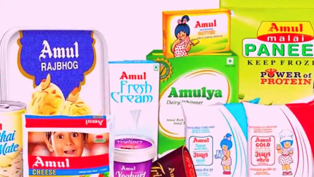 Tracing The Journeys Of India's Biggest Food Brands