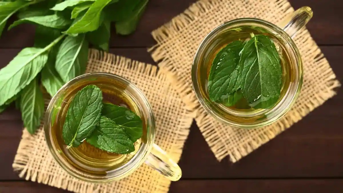 Digestion To Stress Relief, 8 Health Benefits of Mint Tea