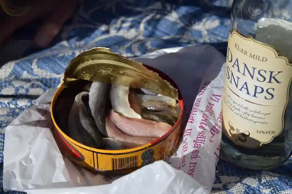Experience The Unique Taste Of Surströmming