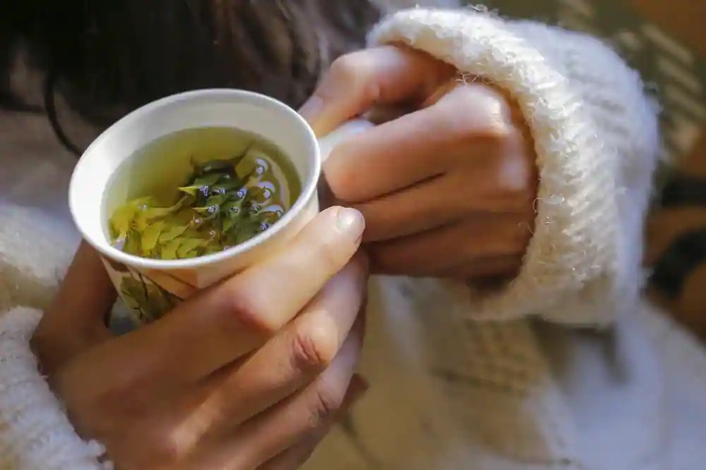 Green Juice To Herbal Teas Winter Drinks To Stay Hydrated