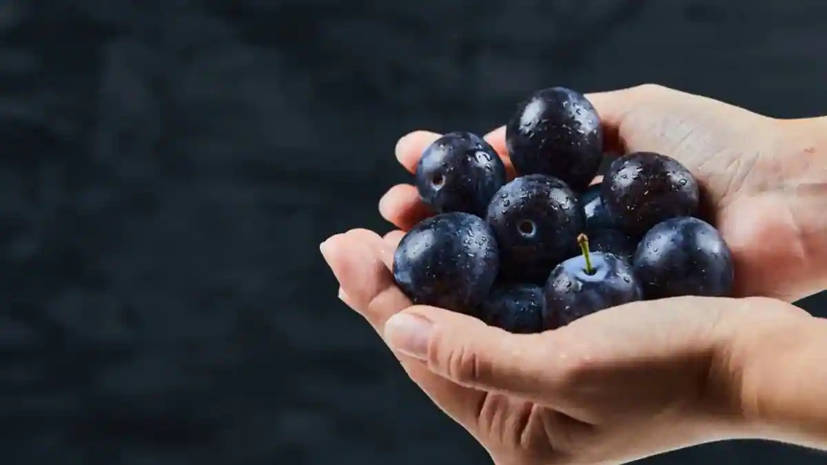 Home Gardening How To Grow Jamun Tree In A Pot