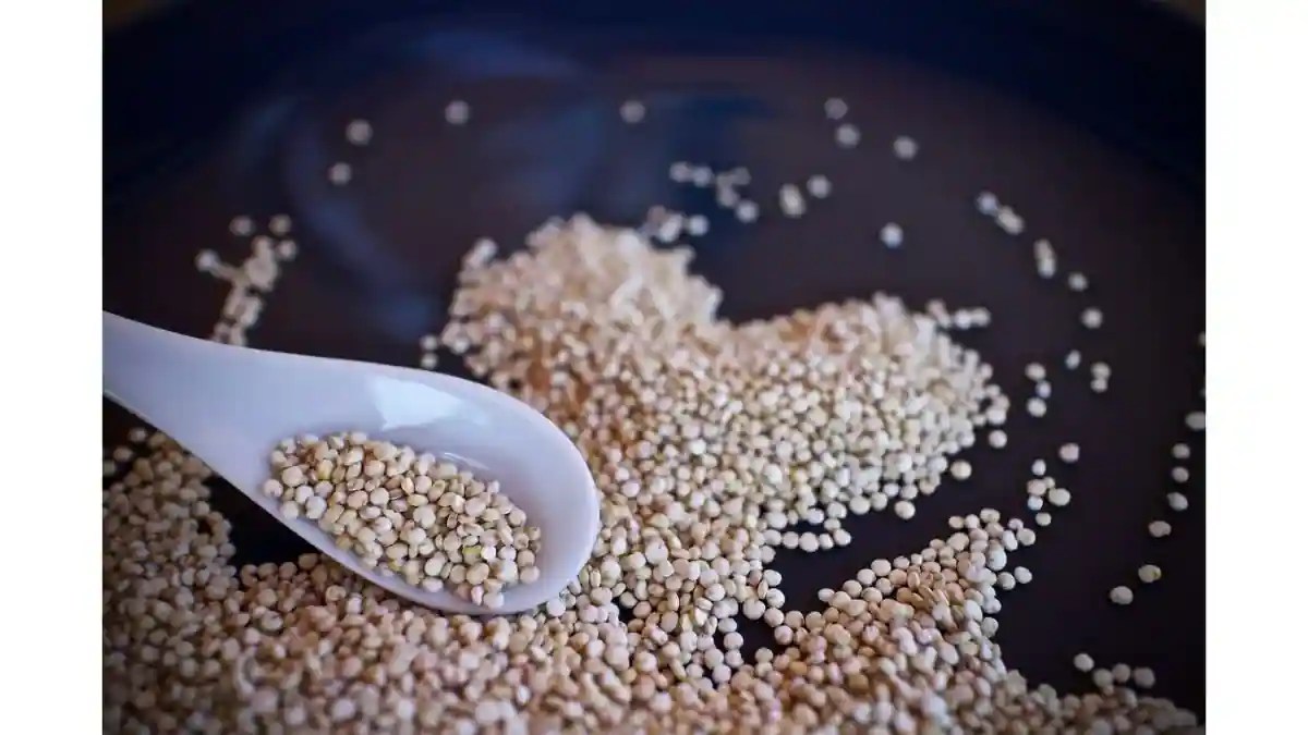 Powerful Plant Proteins Exploring The Health Benefits of Quinoa