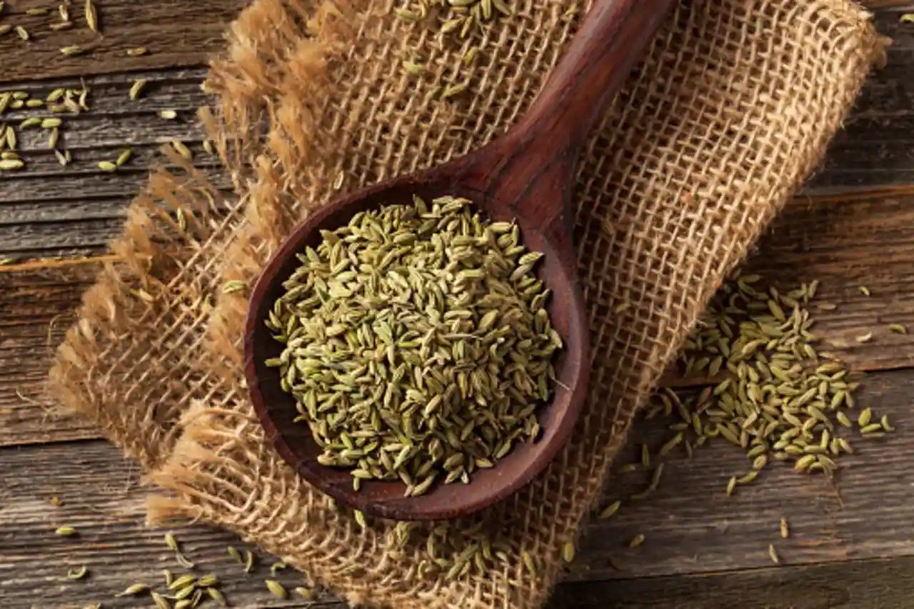 Kitchen Tips 5 Best Fennel Seed Substitutes To Know