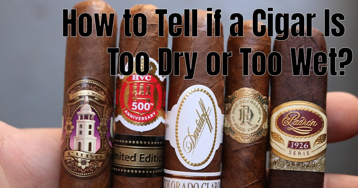 How to Tell if a Cigar Is Too Dry or Too Wet Best Online Cigar Shopping Experience Around!