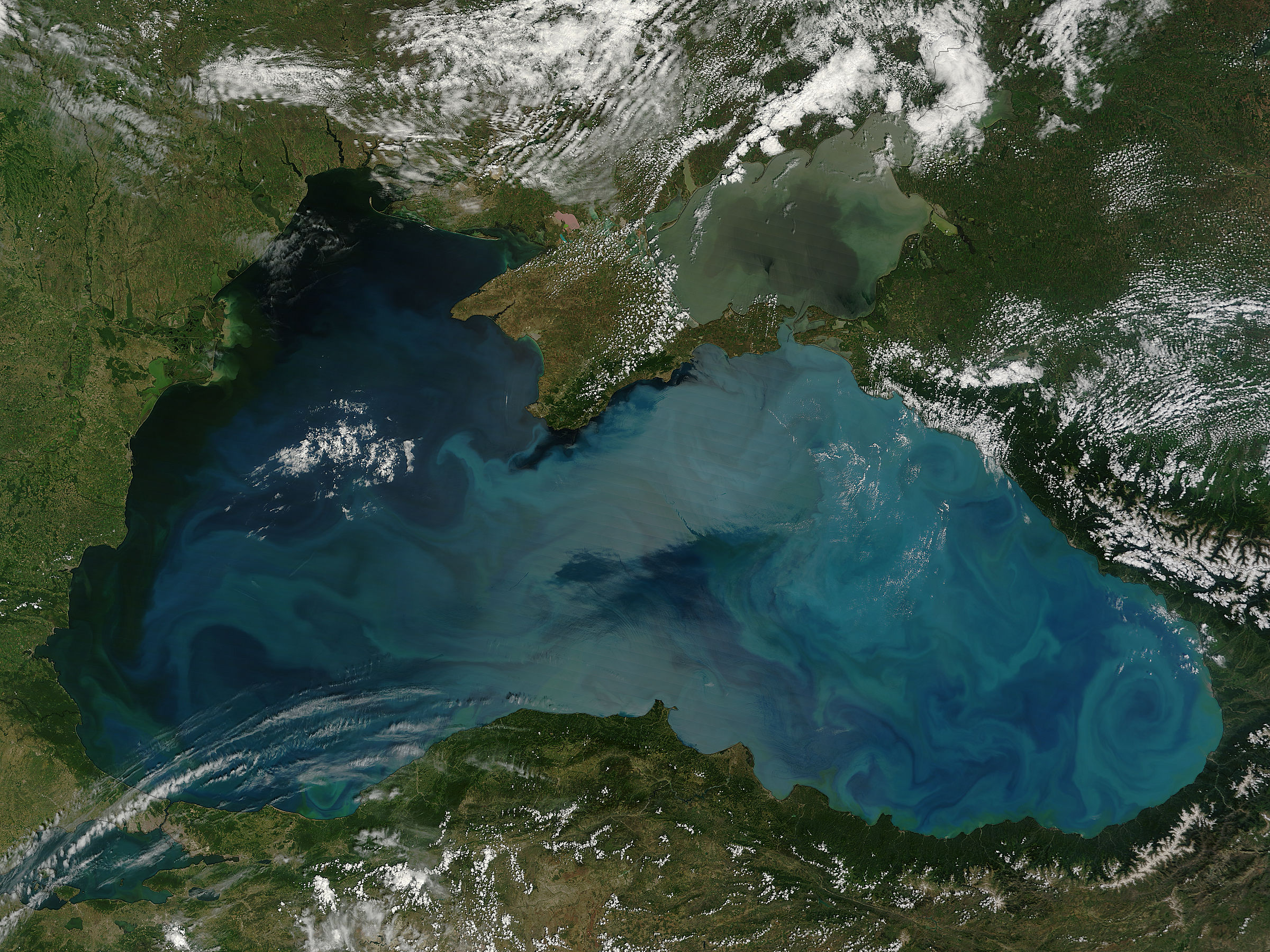 NASA MODIS Image of the Day June 11, 2012 Phytoplankton