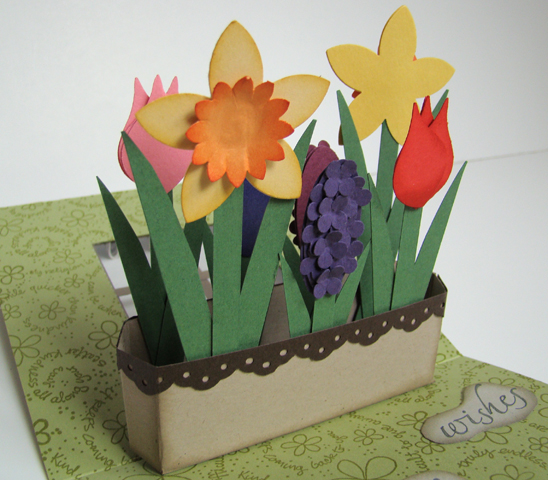 PopUp Flower Box Card by Qbee at Splitcoaststampers