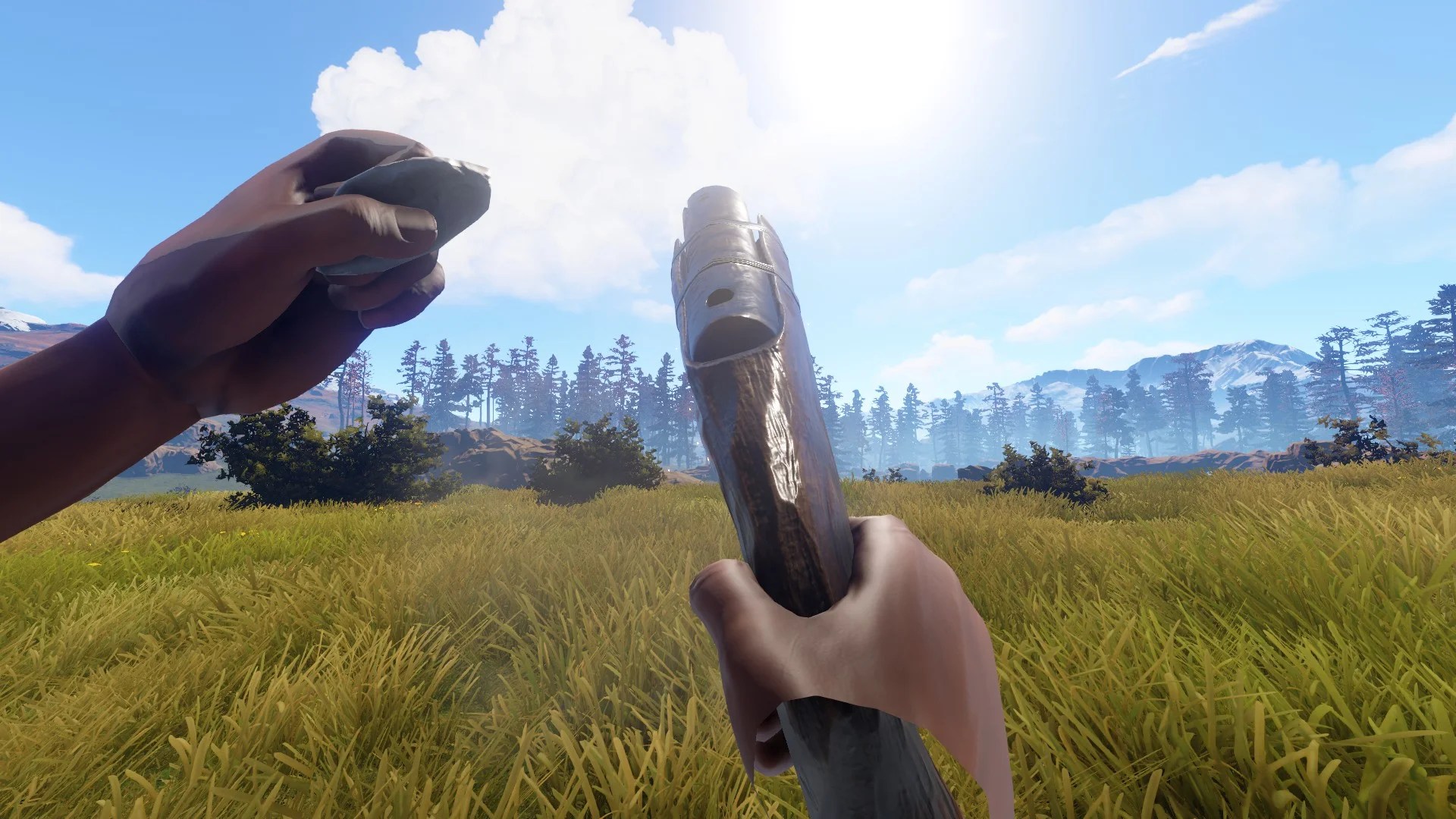 Guns in Rust — Rustafied