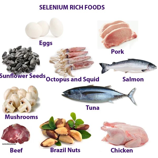 Nutrients by the Alphabet Selenium Health Benefits and Recipe — Fuel