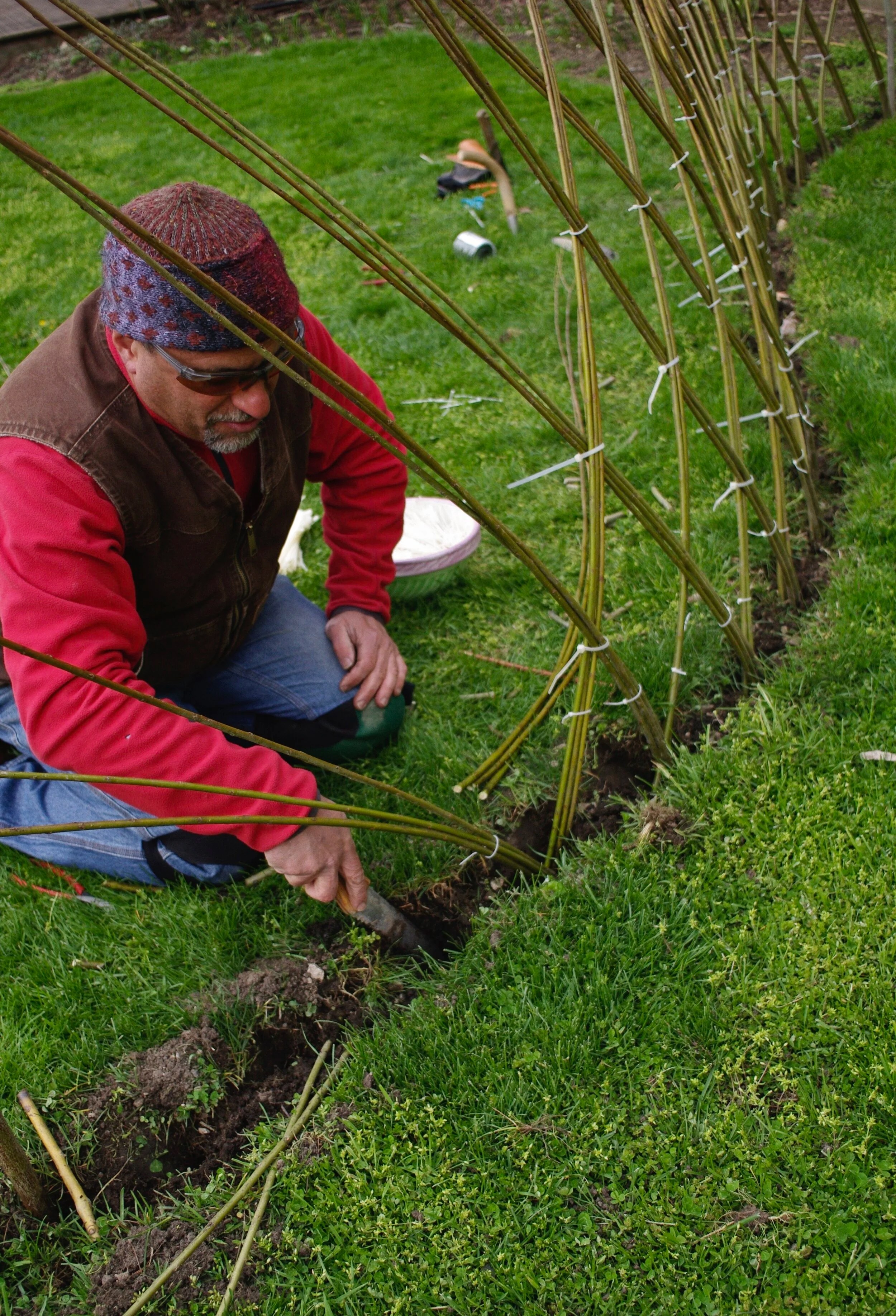 Living Willow Fences & Play Structures Living Willow Farm — LIVING WILLOW FARM