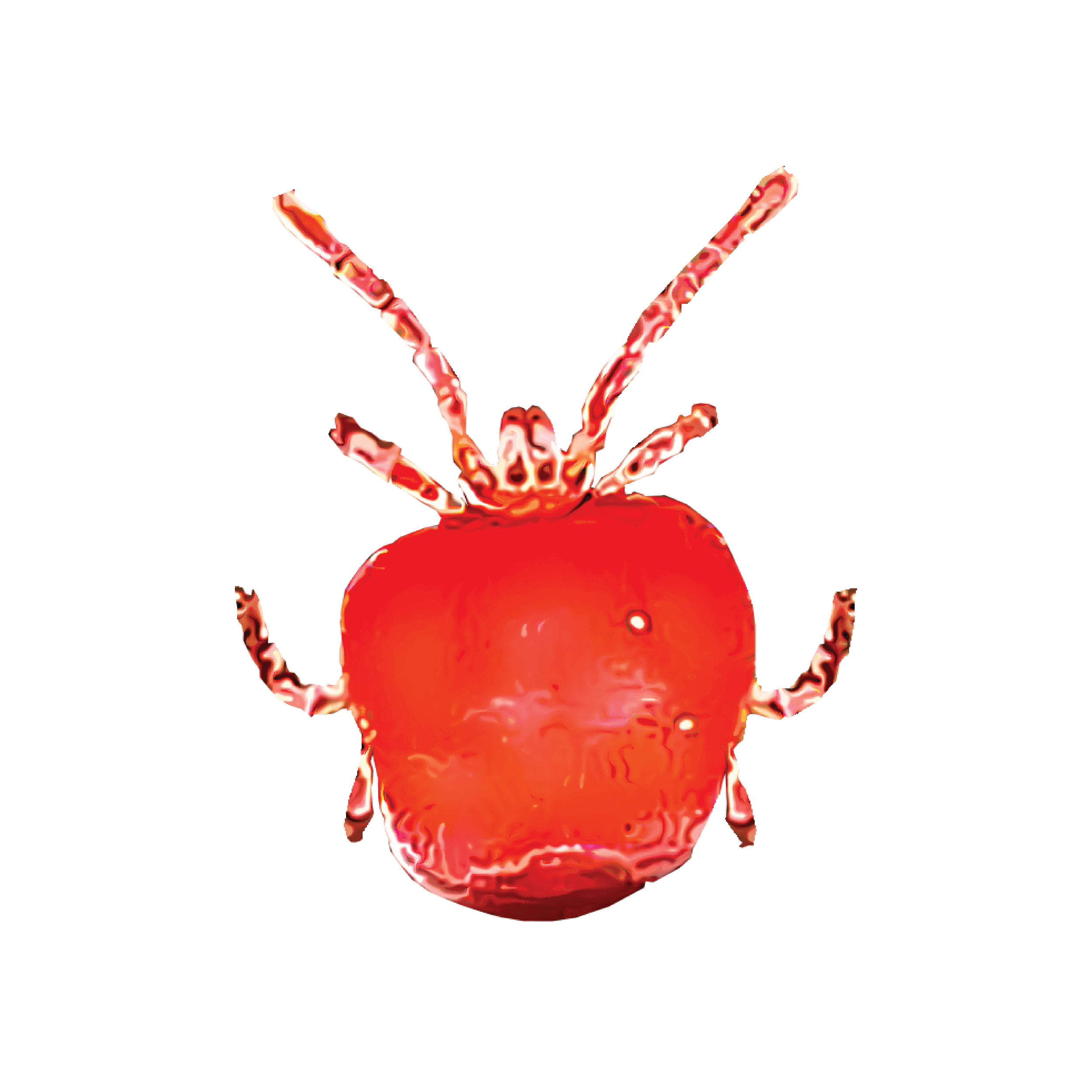 Pest Library — Defend Pest Solutions