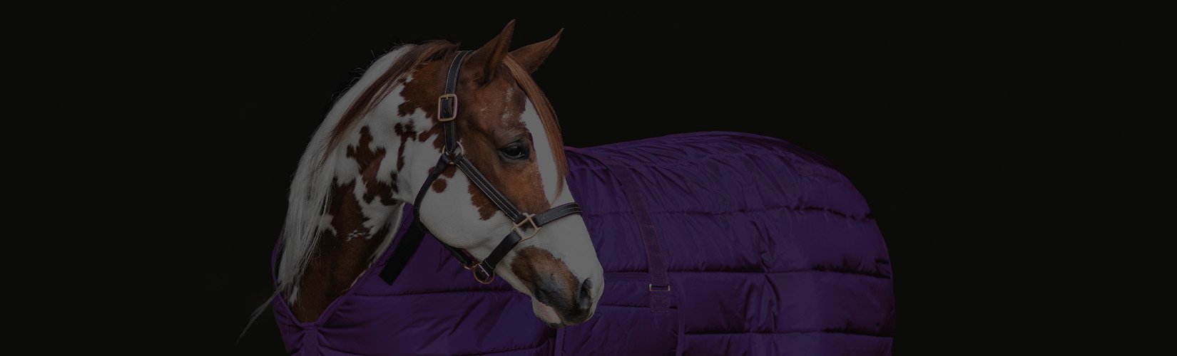10 Best Stable Blankets and Sheets