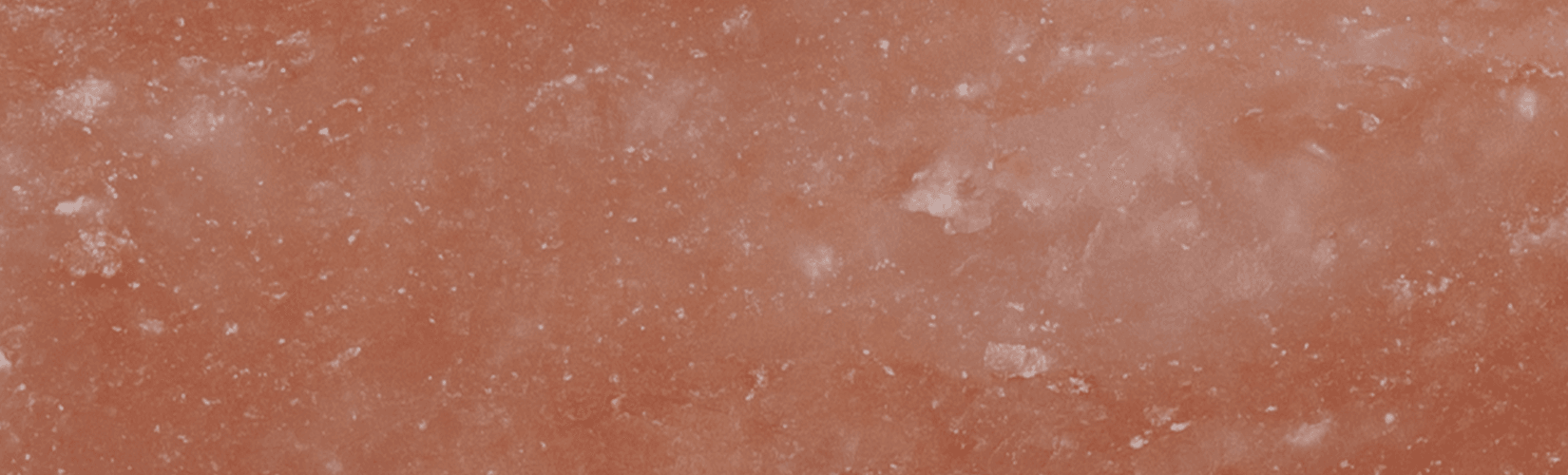 The Best Electrolytes and Salt Licks for Horses