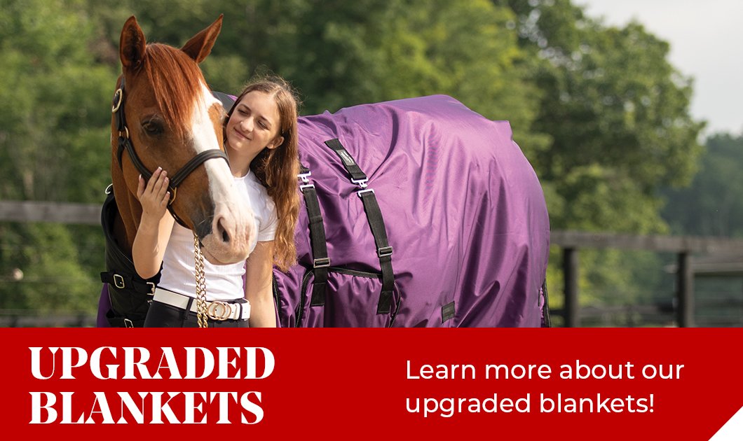 Horse Tack & Horse Supplies Store Shop Horse Blankets & More at