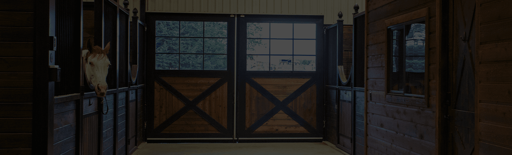 9 Horse Barn Organization Ideas Schneiders Blog