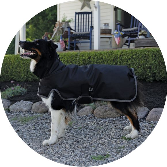 DuraTech® Insulated Waterproof High Neck Dog Coats Schneiders