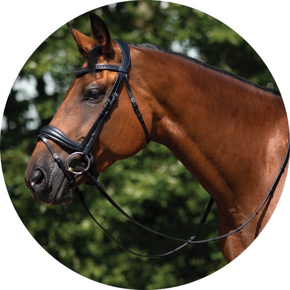 Schneiders® Ergonomic Monocrown Dressage Bridle with Crank Noseband