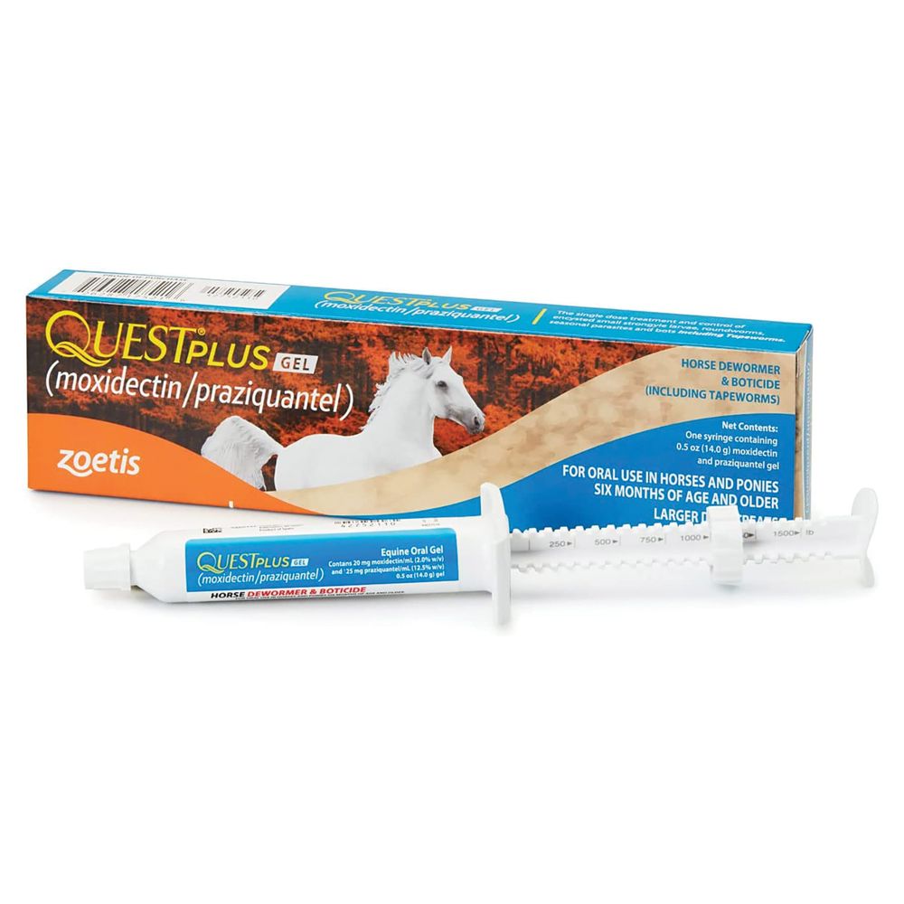 Quest Plus Gel Schneiders