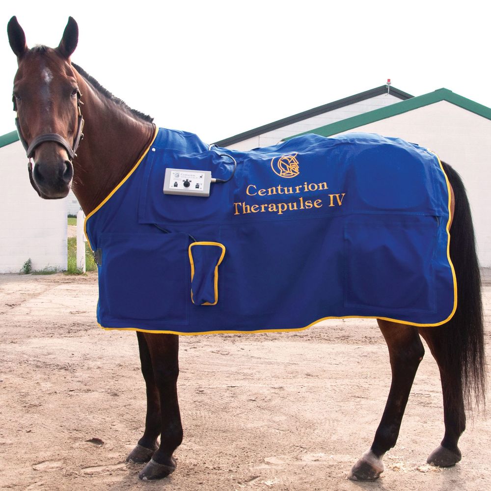 Centurion Therapulse IV Blanket Schneiders