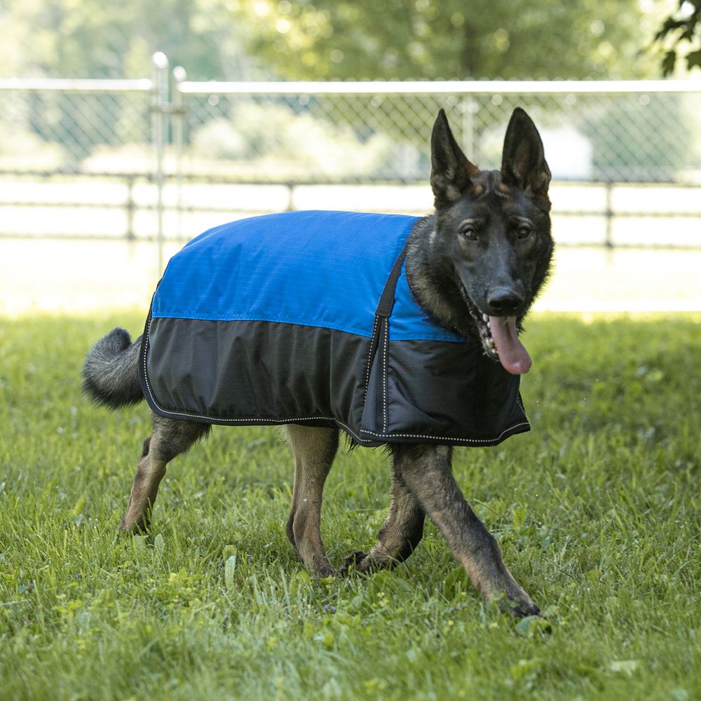 DuraTech® Waterproof Reflective Dog Coat Schneiders