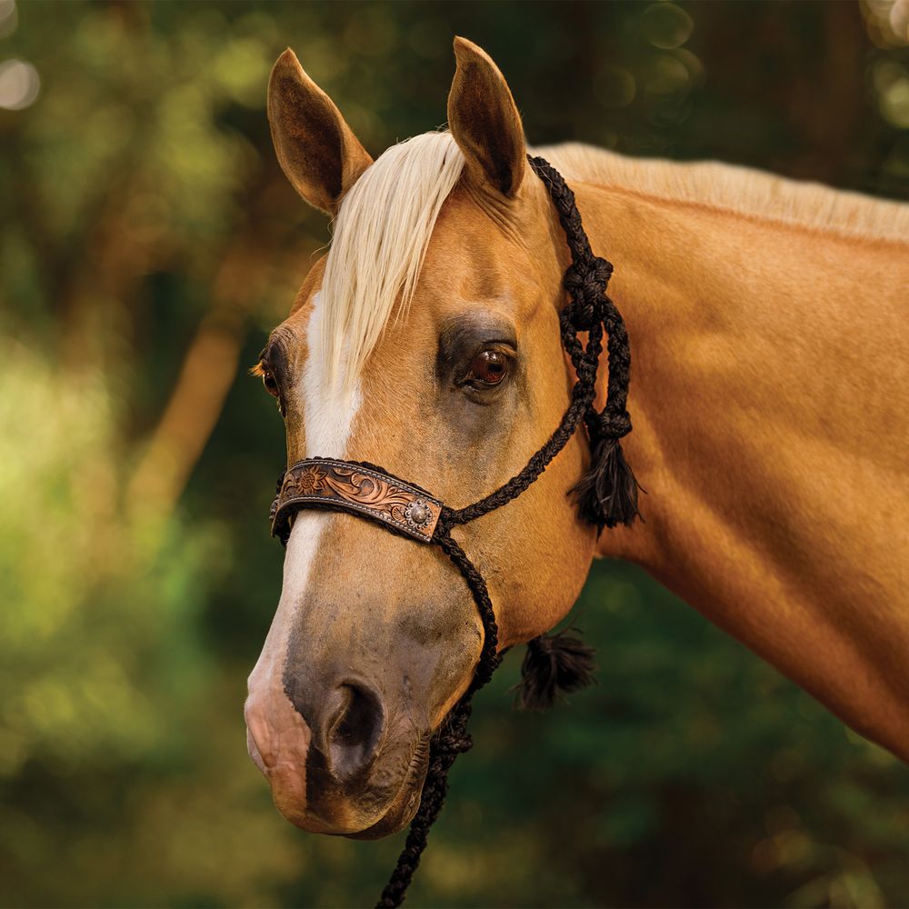 Schneiders® Mule Tape Rope Halter with Tooled Nose Schneiders