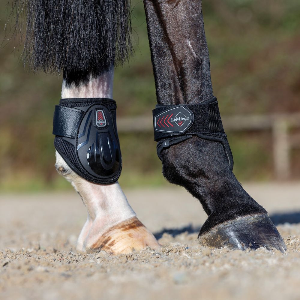 LeMieux® Derby ProJump Horse Fetlock Boots Schneiders