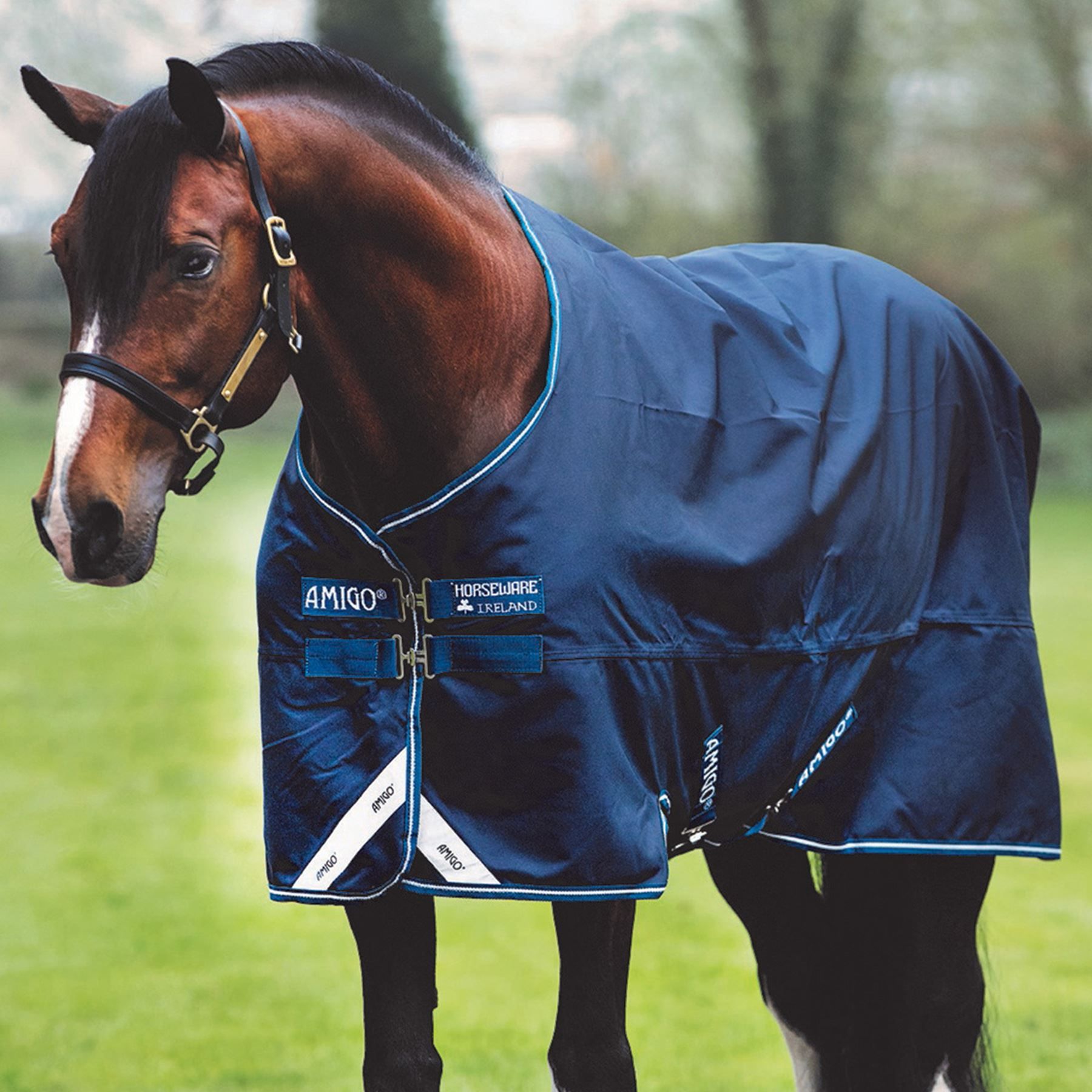 Horseware® Amigo® Bravo 12 Original Heavy Weight Turnout Blanket