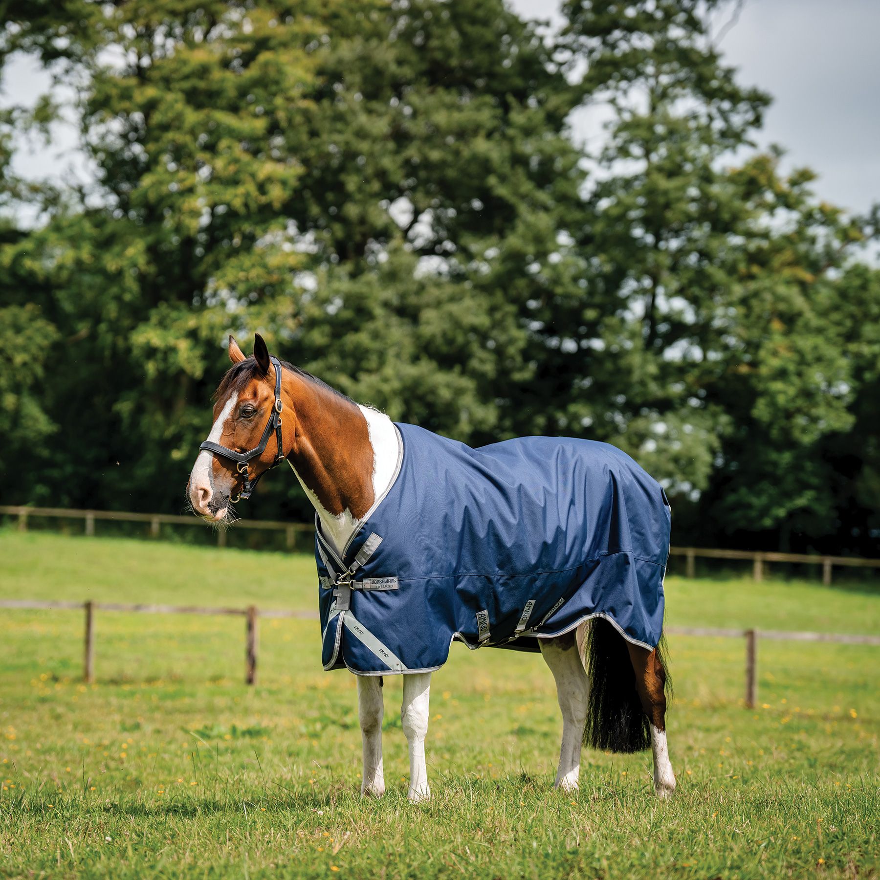 Horseware® Amigo® Bravo 12 Original Medium Weight Turnout Blanket