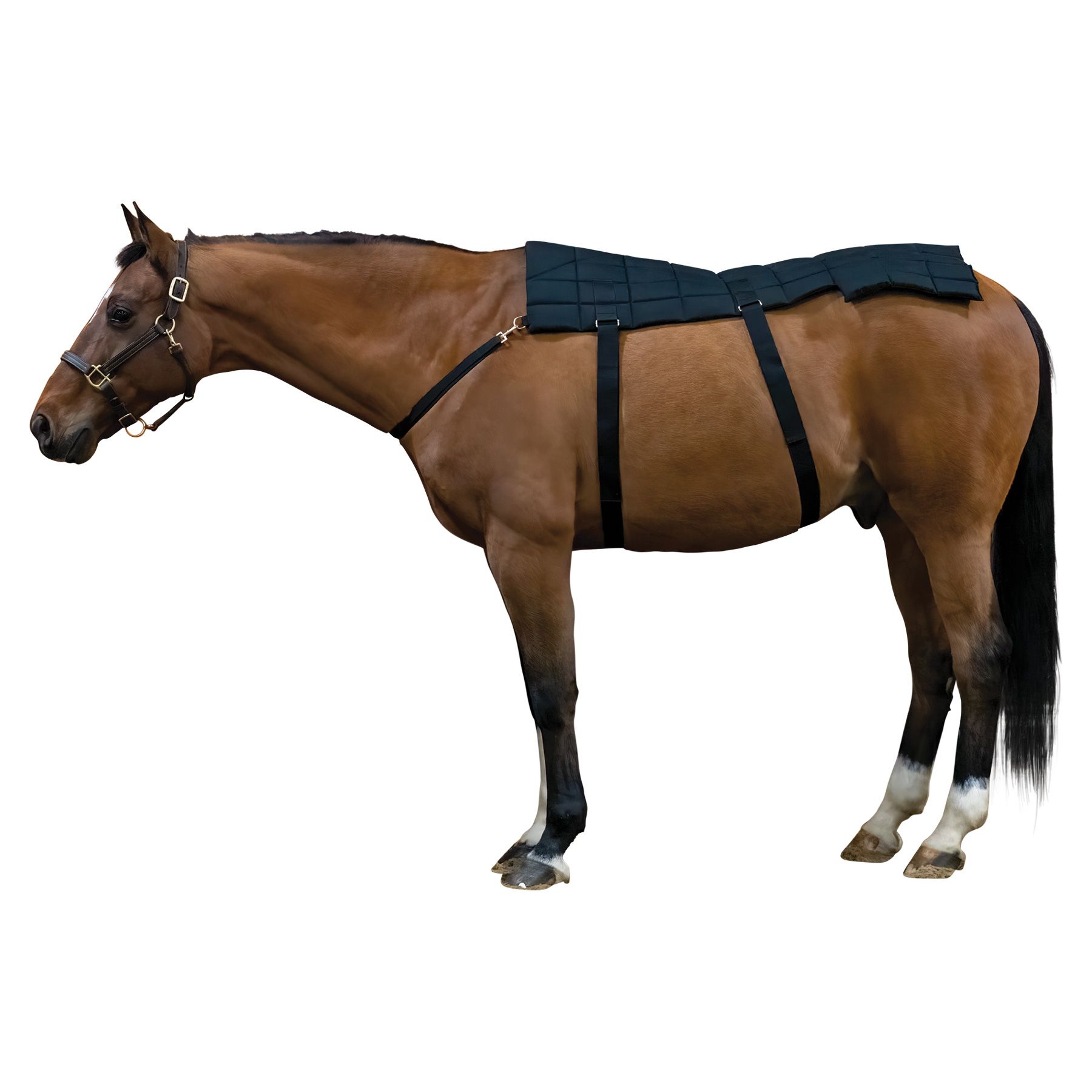 DuraTech® Horse Back and Hip Cooling Gel Pad Schneiders