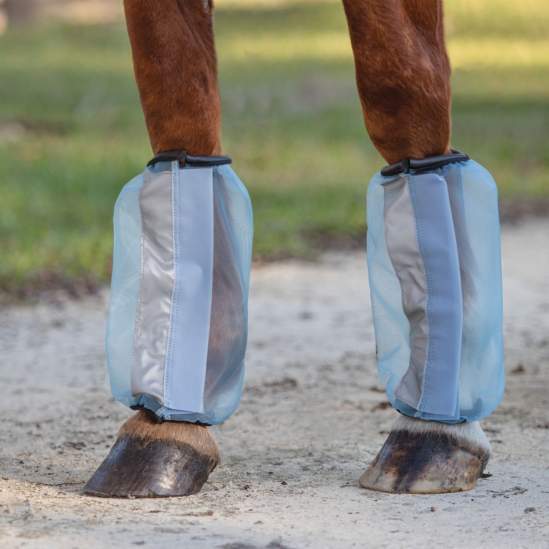 Schneiders Mosquito Mesh II NonFitted Draft Fly Boots Set of 4 Schneiders