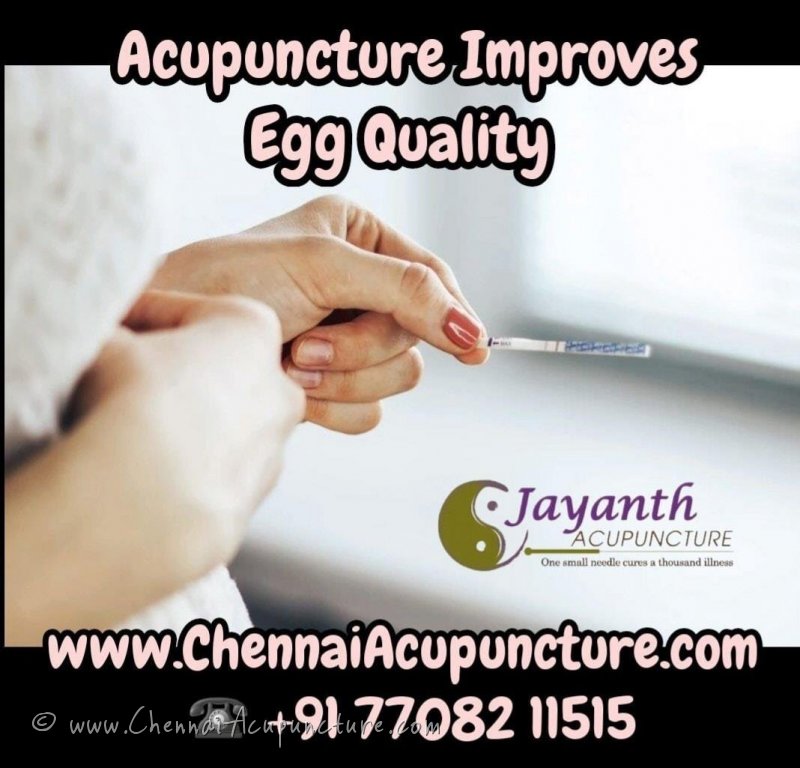 Gallery Acupuncturist in Chennai Acupuncture Doctor